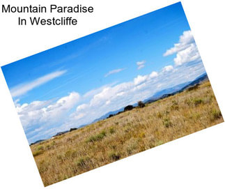 Mountain Paradise In Westcliffe