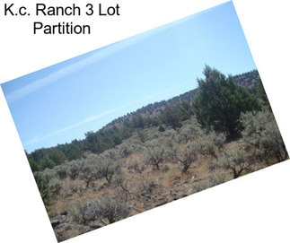 K.c. Ranch 3 Lot Partition