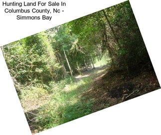 Hunting Land For Sale In Columbus County, Nc - Simmons Bay