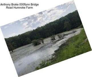 Anthony Brake 000flynn Bridge Road Humnoke Farm