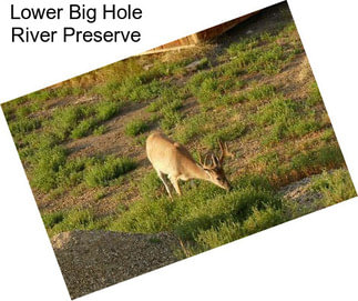 Lower Big Hole River Preserve