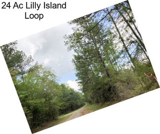 24 Ac Lilly Island Loop