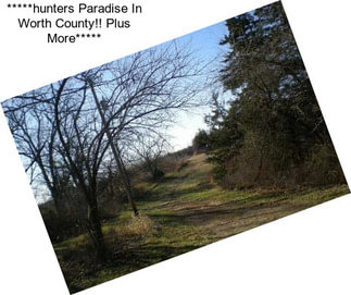 *****hunters Paradise In Worth County!! Plus More*****