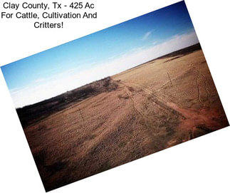 Clay County, Tx - 425 Ac For Cattle, Cultivation And Critters!