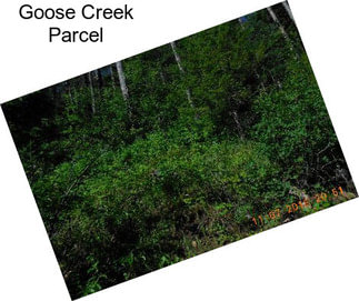 Goose Creek Parcel