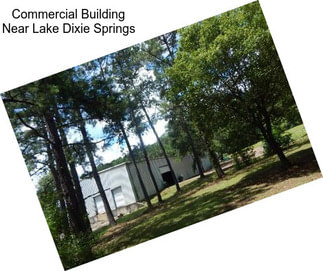 Commercial Building Near Lake Dixie Springs