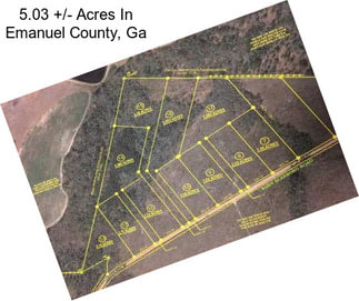 5.03 +/- Acres In Emanuel County, Ga