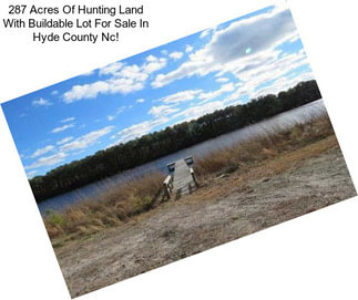 287 Acres Of Hunting Land With Buildable Lot For Sale In Hyde County Nc!