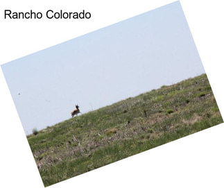 Rancho Colorado