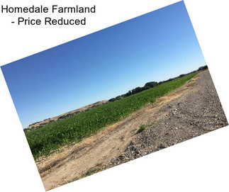 Homedale Farmland - Price Reduced