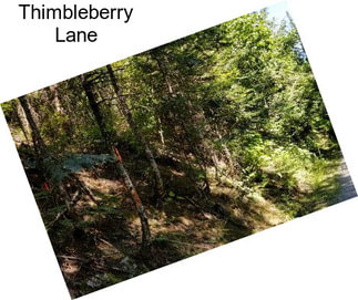 Thimbleberry Lane