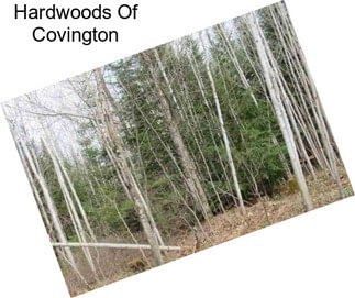 Hardwoods Of Covington
