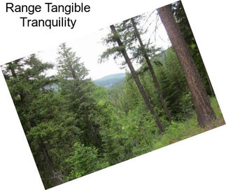 Range Tangible Tranquility