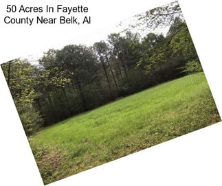 50 Acres In Fayette County Near Belk, Al