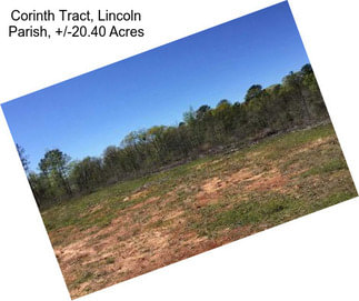 Corinth Tract, Lincoln Parish, +/-20.40 Acres