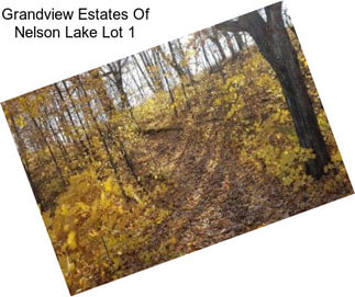 Grandview Estates Of Nelson Lake Lot 1