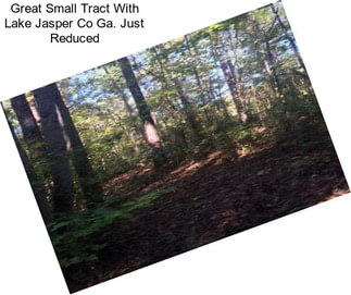 Great Small Tract With Lake Jasper Co Ga. Just Reduced