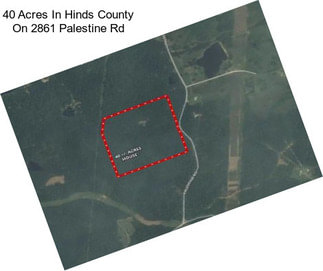 40 Acres In Hinds County On 2861 Palestine Rd