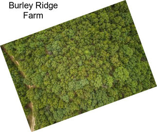 Burley Ridge Farm