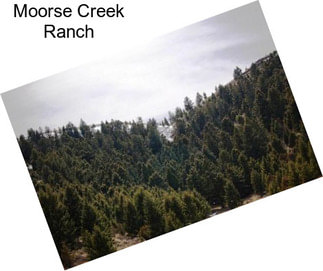 Moorse Creek Ranch