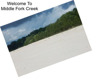 Welcome To Middle Fork Creek