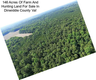 146 Acres Of Farm And Hunting Land For Sale In Dinwiddie County Va!