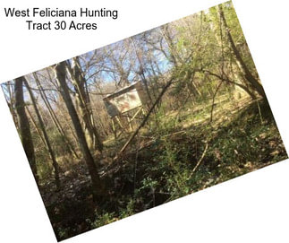 West Feliciana Hunting Tract 30 Acres