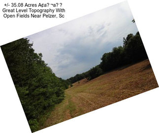 +/- 35.08 Acres A¢a¬a Great Level Topography With Open Fields Near Pelzer, Sc