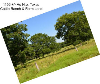 1156 +/- Ac N.e. Texas Cattle Ranch & Farm Land