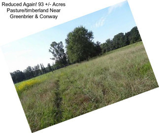 Reduced Again! 93 +/- Acres Pasture/timberland Near Greenbrier & Conway