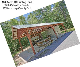 164 Acres Of Hunting Land With Cabin For Sale In Williamsburg County Sc!