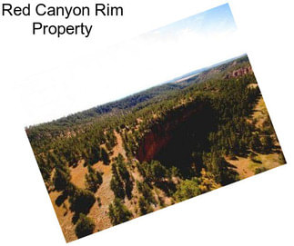 Red Canyon Rim Property