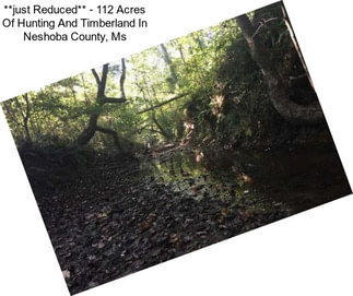 **just Reduced** - 112 Acres Of Hunting And Timberland In Neshoba County, Ms