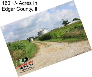 160 +/- Acres In Edgar County, Il