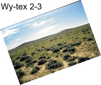 Wy-tex 2-3