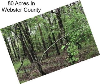 80 Acres In Webster County