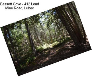 Bassett Cove - 412 Lead Mine Road, Lubec