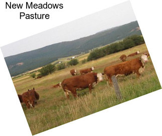 New Meadows Pasture