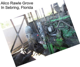 Alico Rawle Grove In Sebring, Florida