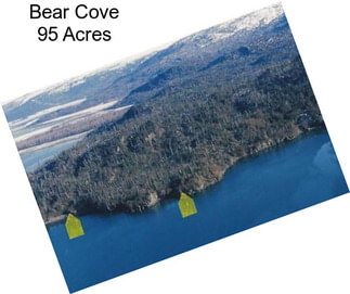 Bear Cove 95 Acres