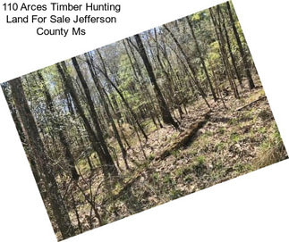 110 Arces Timber Hunting Land For Sale Jefferson County Ms