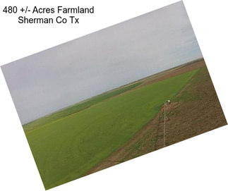 480 +/- Acres Farmland Sherman Co Tx