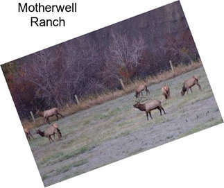 Motherwell Ranch