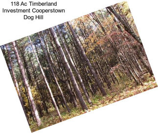 118 Ac Timberland Investment Cooperstown Dog Hill