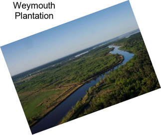 Weymouth Plantation