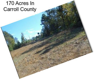 170 Acres In Carroll County