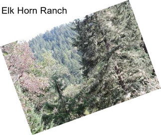 Elk Horn Ranch