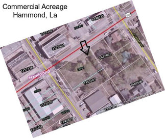 Commercial Acreage Hammond, La