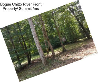 Bogue Chitto River Front Property/ Summit /ms