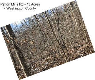 Patton Mills Rd - 13 Acres - Washington County